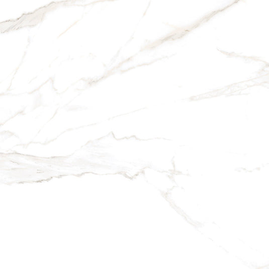 Torano Gold Matte 60 x 120cm, porcelain tile for kitchens, bathrooms and hallways at Irwin Tiles