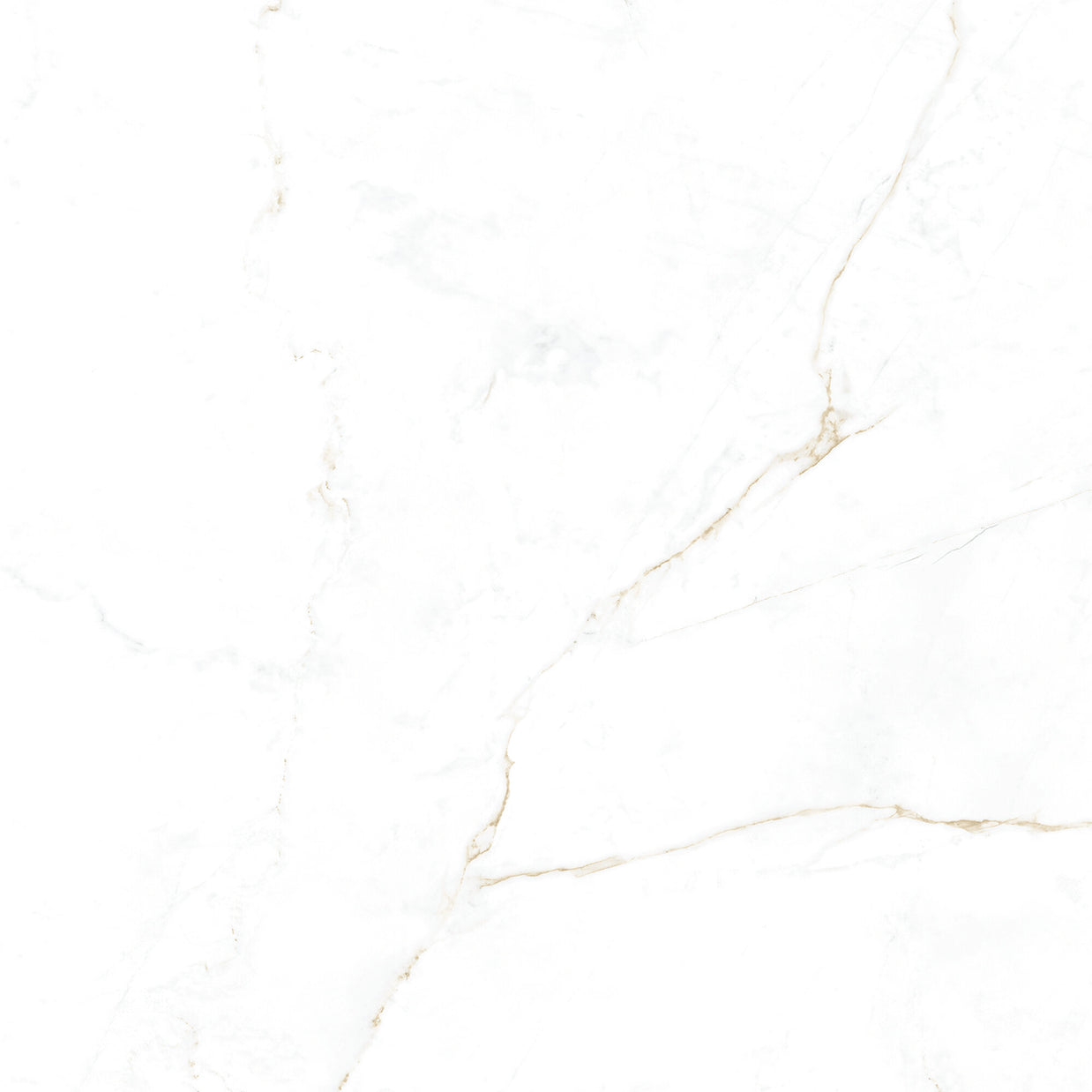 Dual White 100 x 100cm
