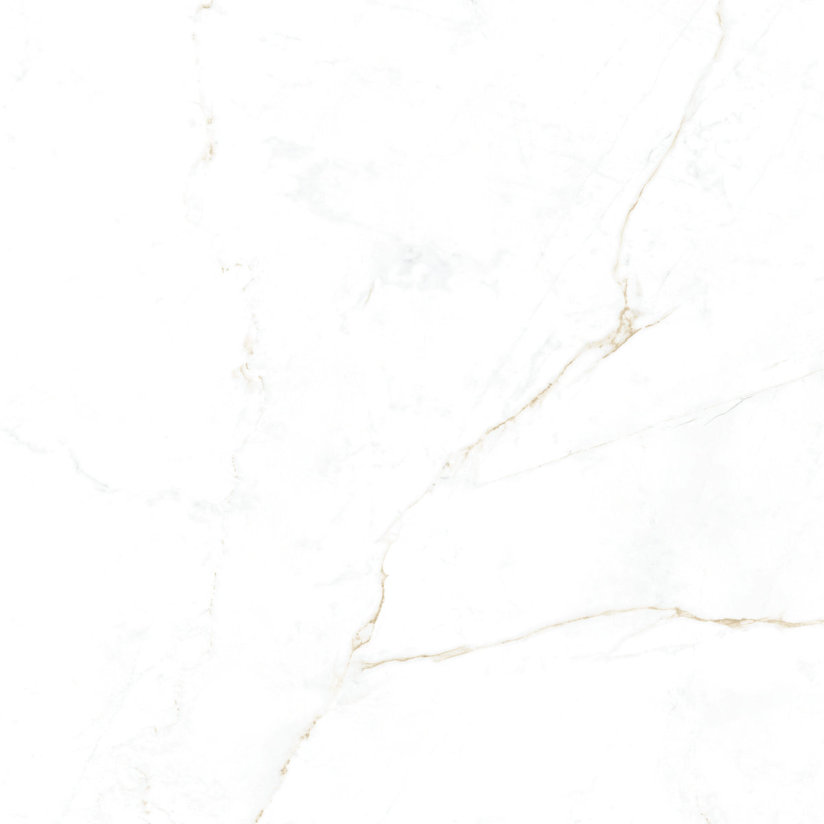Dual White 100 x 100cm