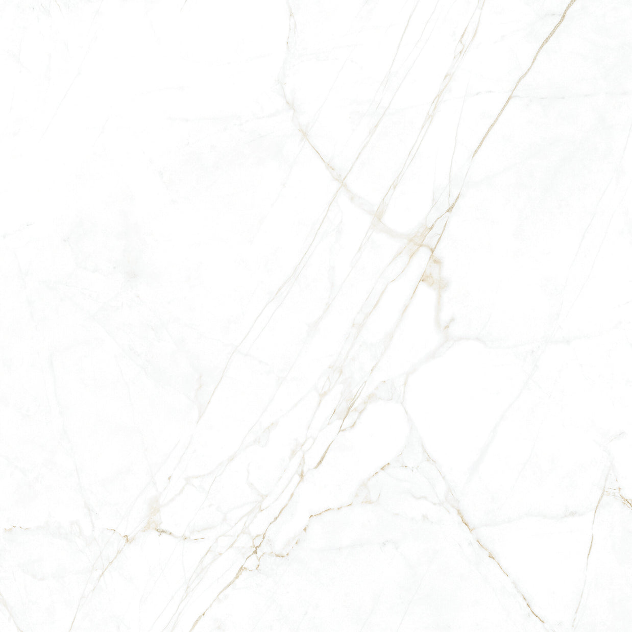 Dual White 100 x 100cm