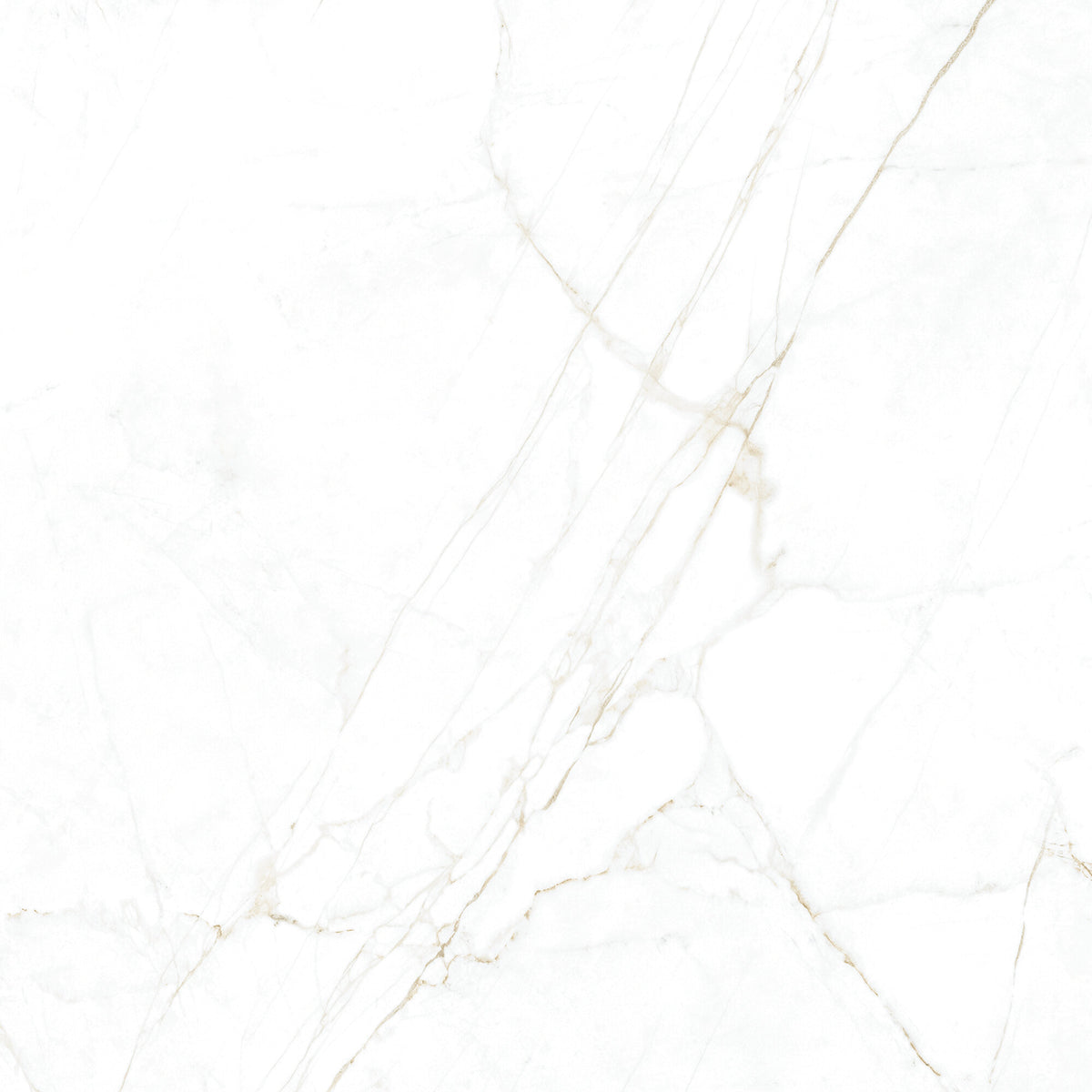 Dual White 100 x 100cm