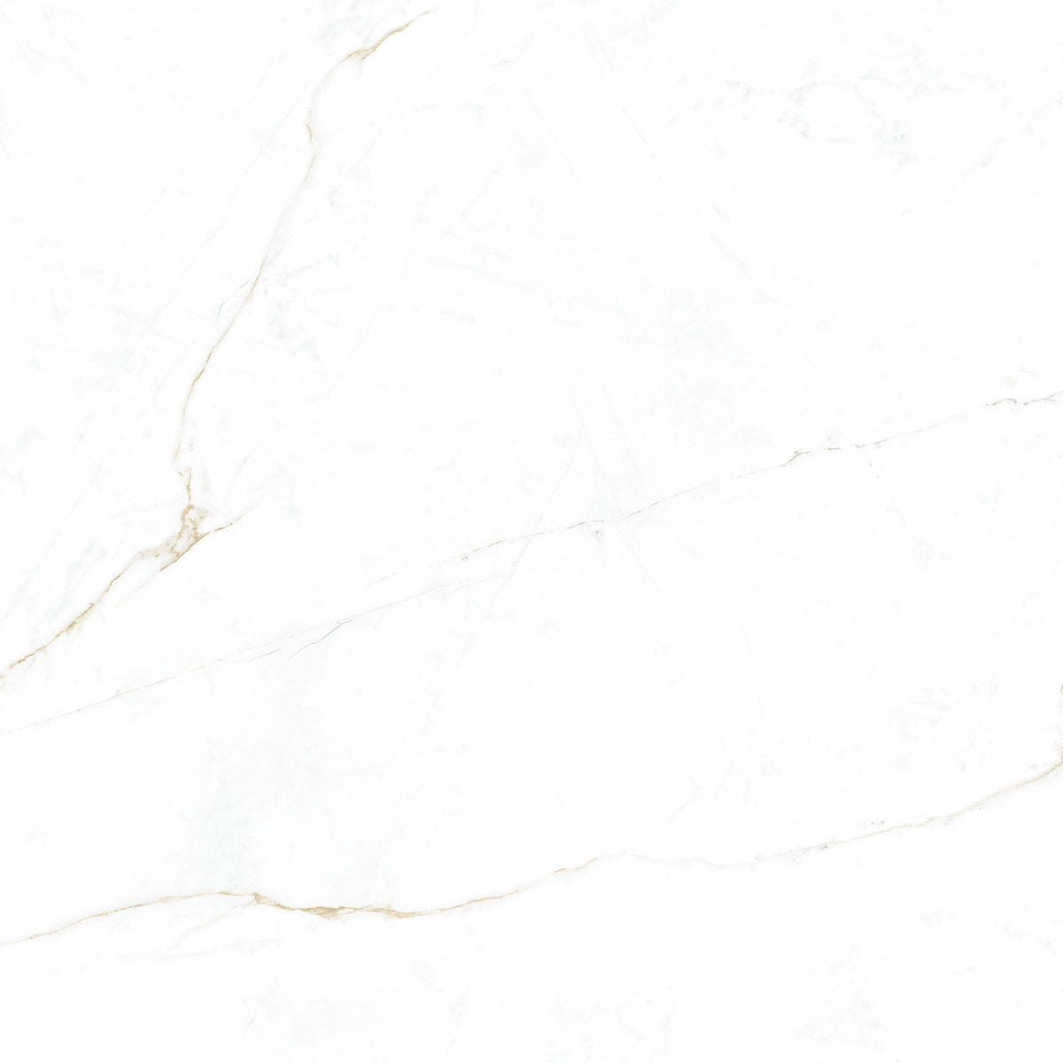 Dual White 100 x 100cm