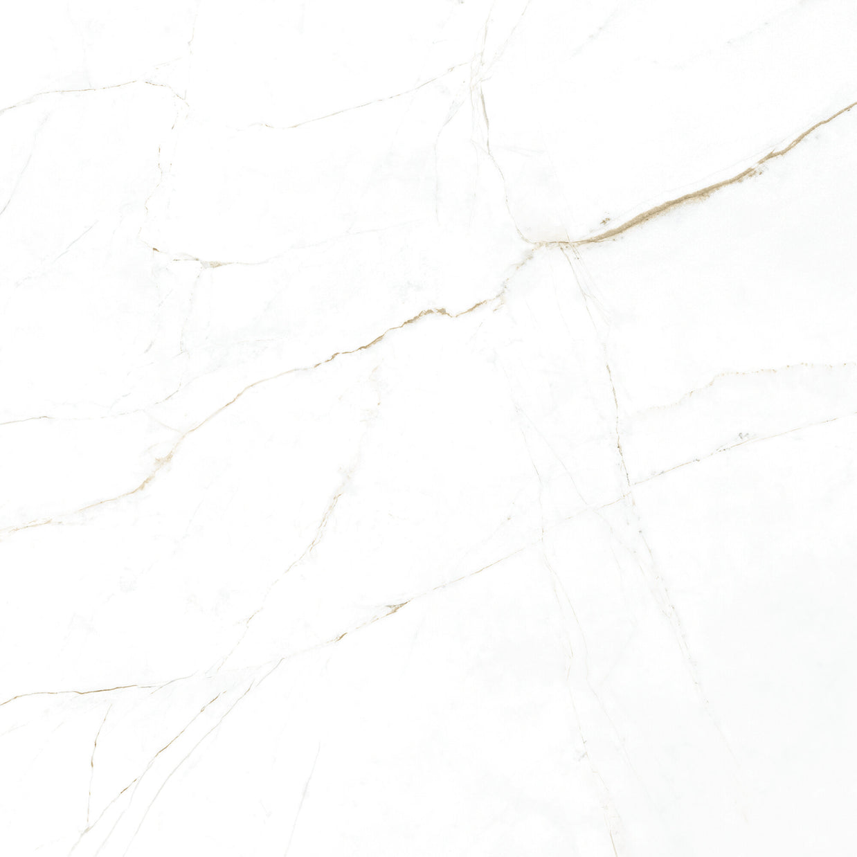 Dual White 100 x 100cm