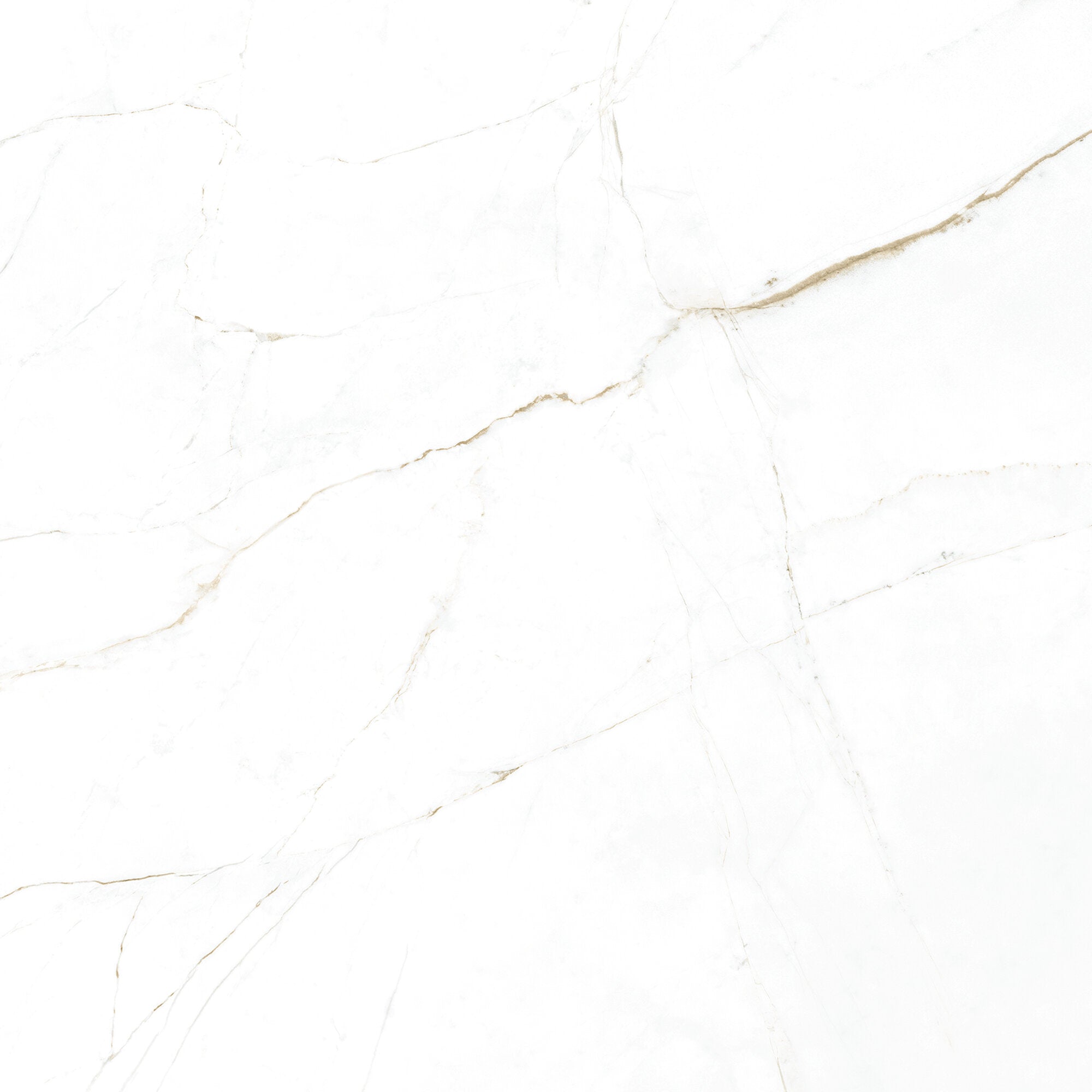 Dual White 100 x 100cm