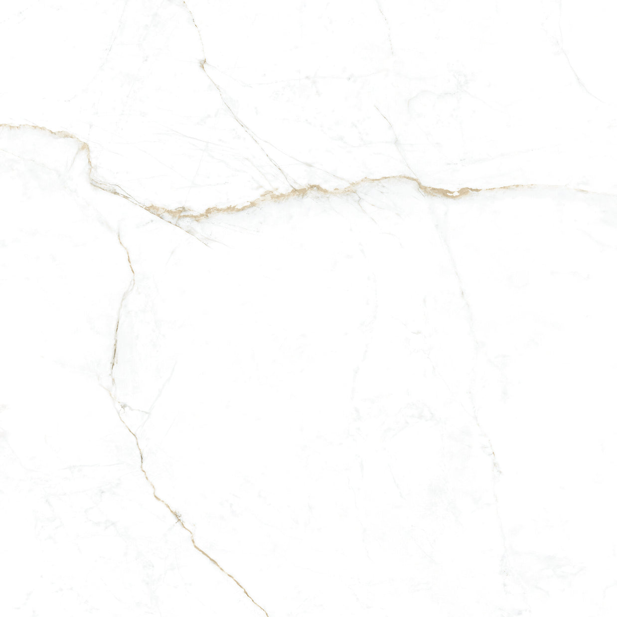 Dual White 100 x 100cm