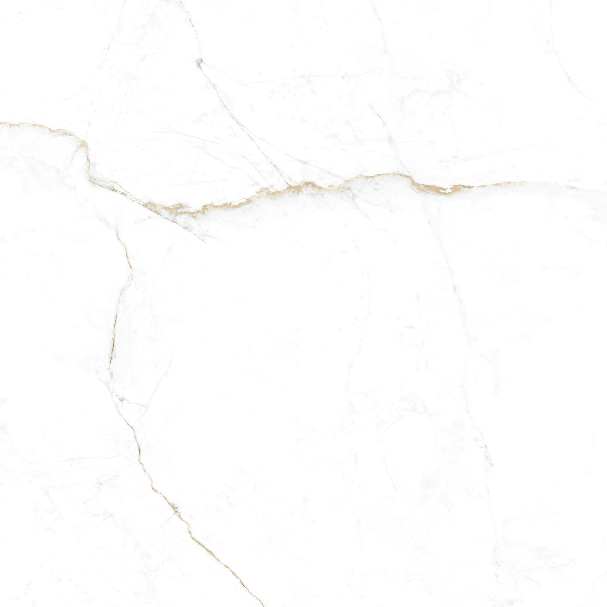 Dual White 100 x 100cm