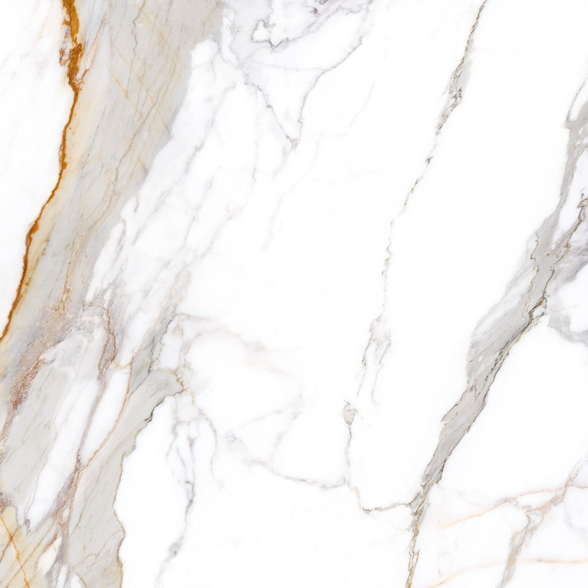 Praline Gold 100x100cm, matt tile at Irwin Tiles