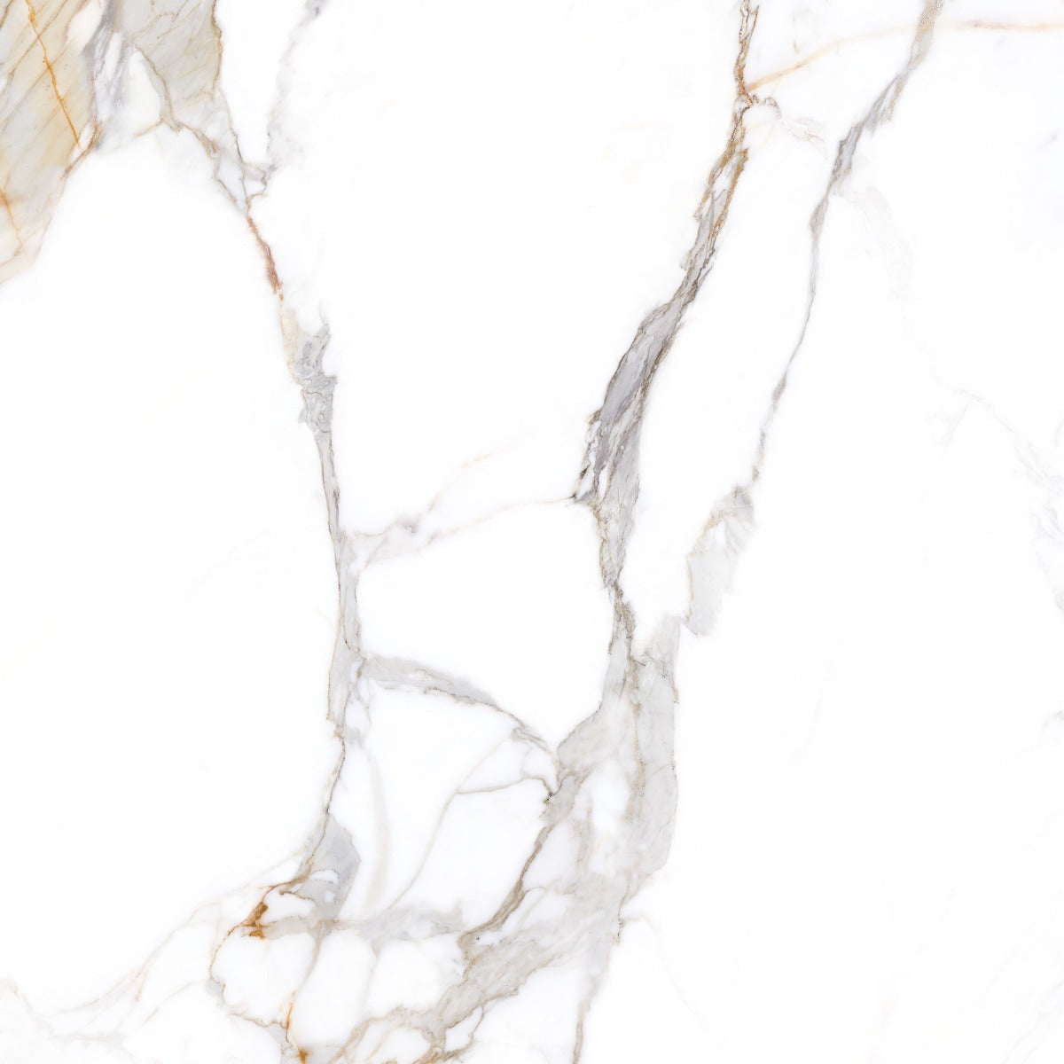 Praline Gold 100x100cm, extra large format tile at Irwin Tiles