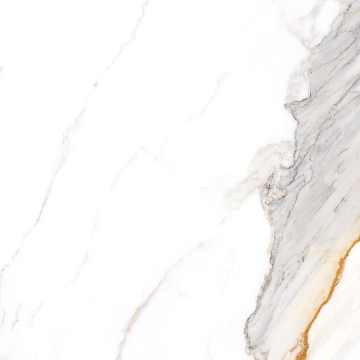 Praline Gold 100x100cm, porcelain tile sold by the box at Irwin Tiles