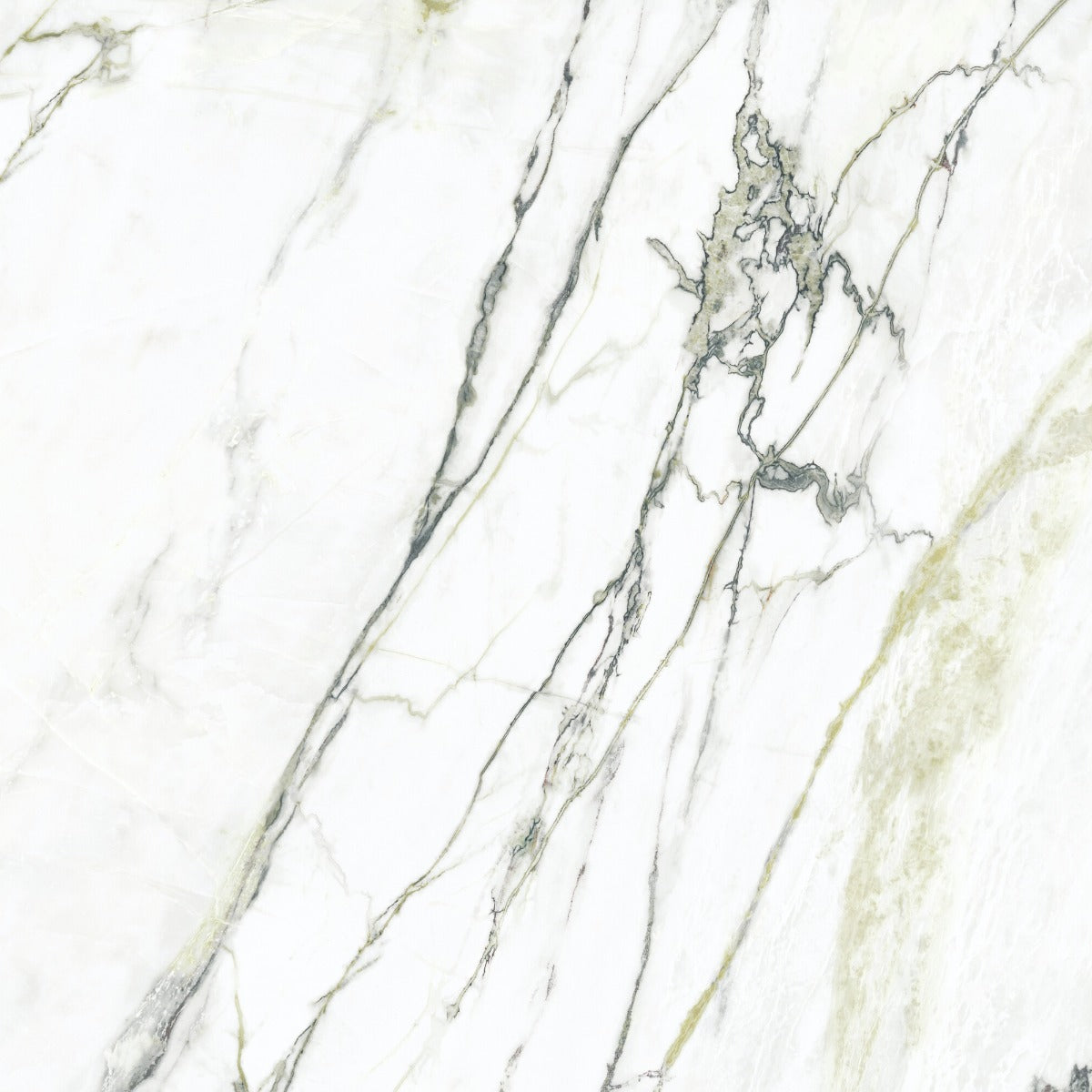 Matcha Green 100x100cm, extra large format tile at Irwin Tiles