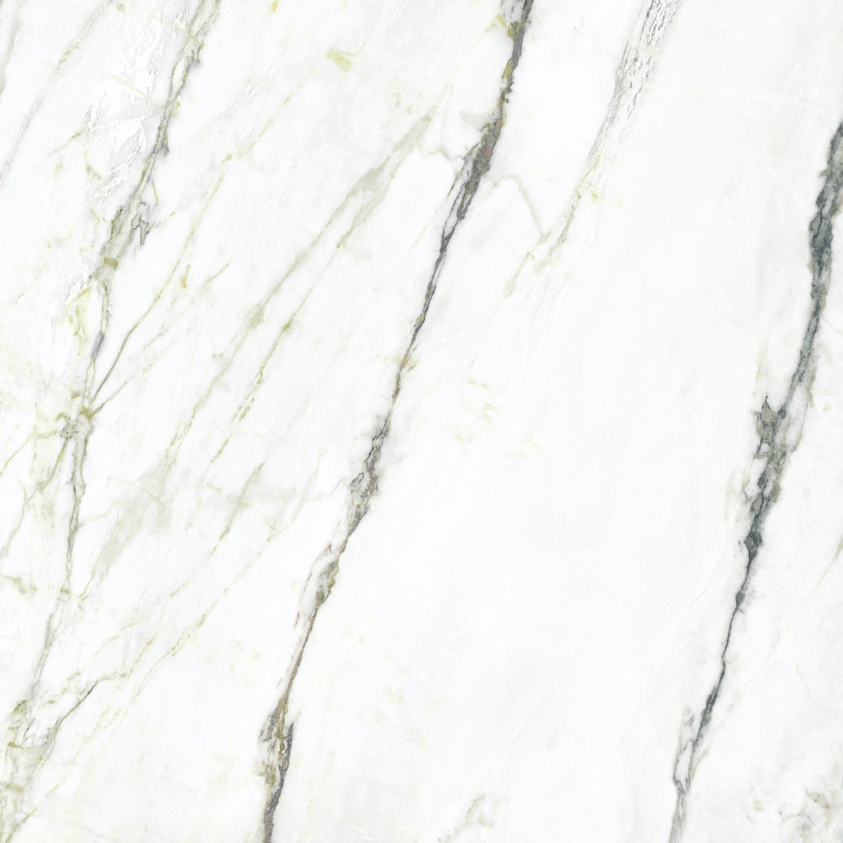 Matcha Green 100x100cm tile, matt, at Irwin Tiles
