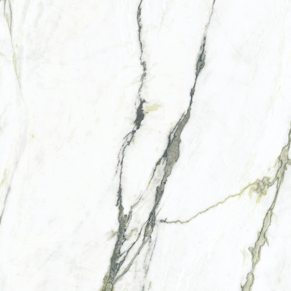 Matcha Green 100x100cm, porcelain tile sold by the box at Irwin Tiles