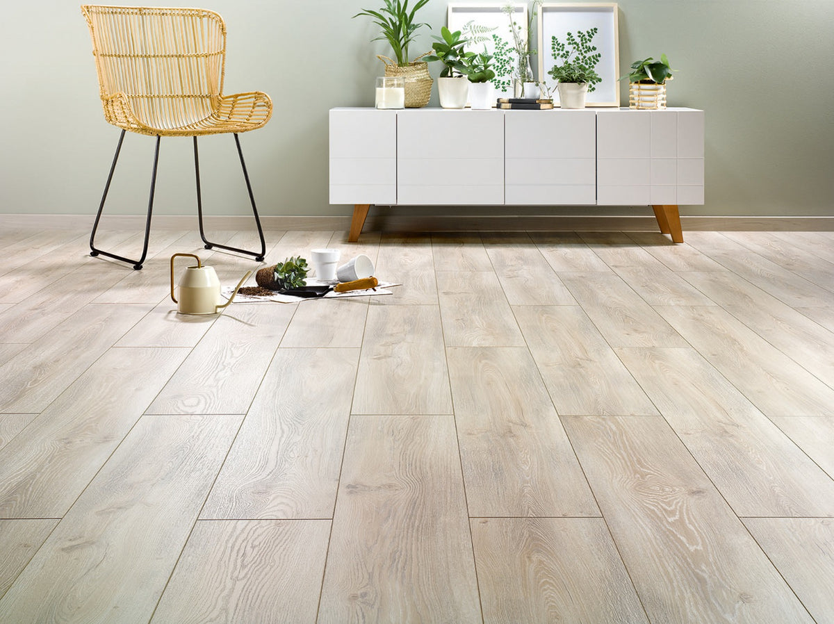 Harmony Aristotle Laminate 8mm, light laminate flooring at Irwin Tiles
