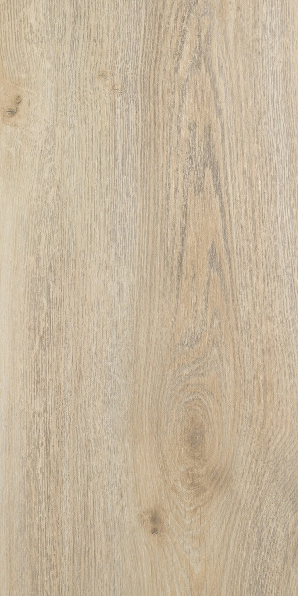 Harmony Aristotle Laminate 8mm, laminate flooring at Irwin Tiles