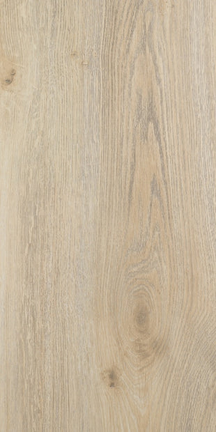 Harmony Aristotle Laminate 8mm, laminate flooring at Irwin Tiles