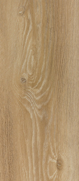 Odysee Laminate All Over Water Resistant 12mm, light laminate flooring at Irwin Tiles