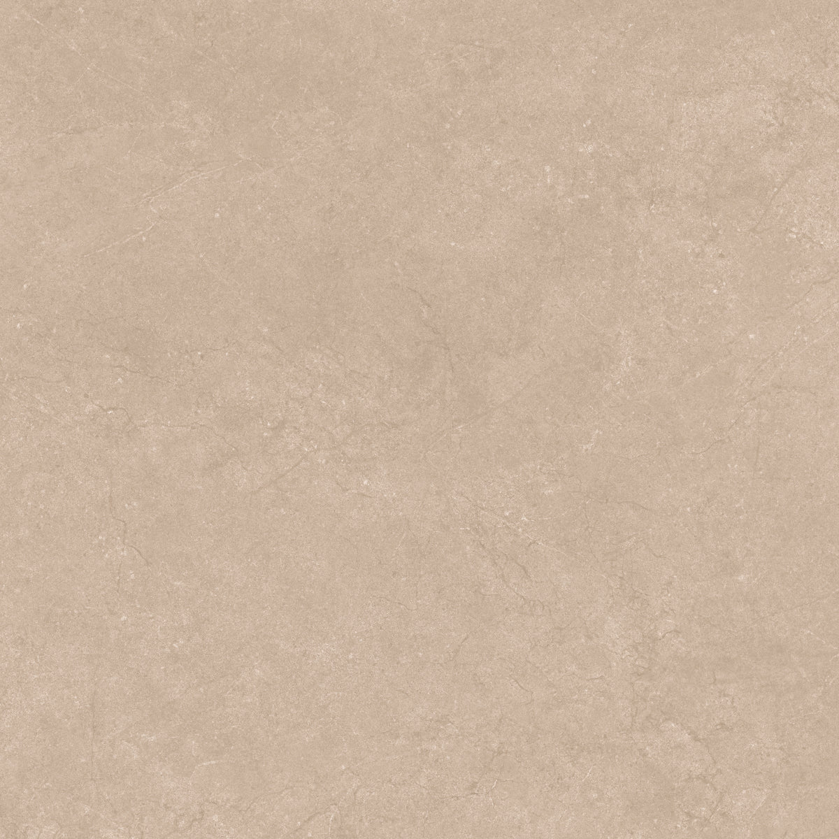 Lucca Taupe 100x100cm @ special introductory price