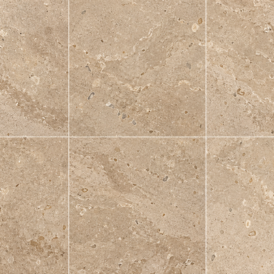Walnut Travertine Marble Polished 60x60cm