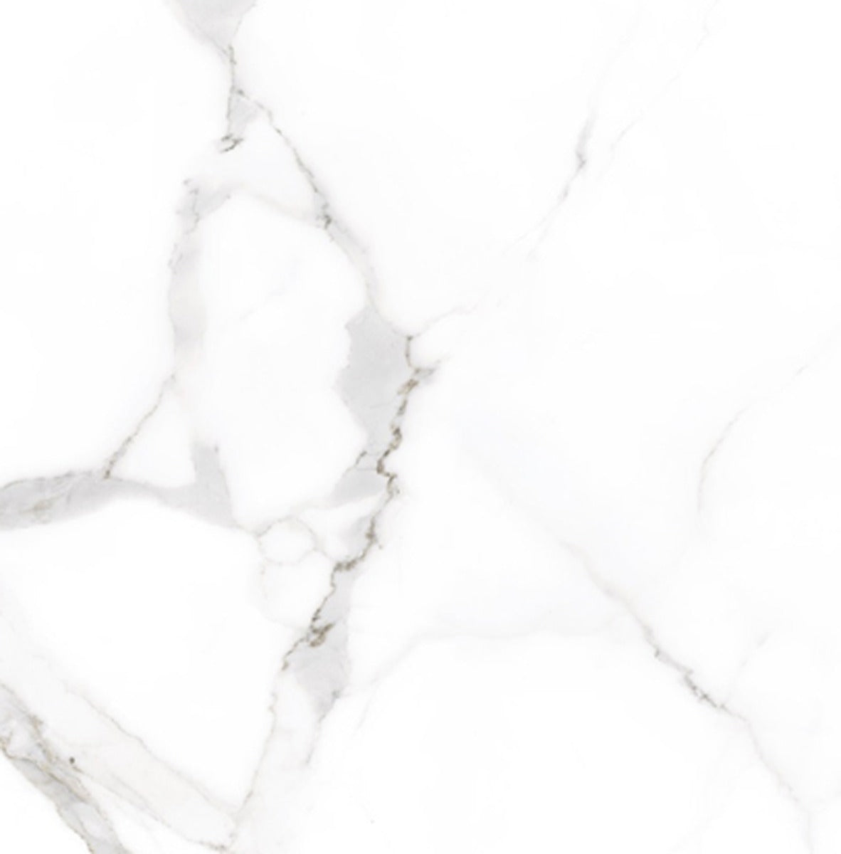 Alsacia 75 x 75cm, white semi-gloss tile at Irwin Tiles