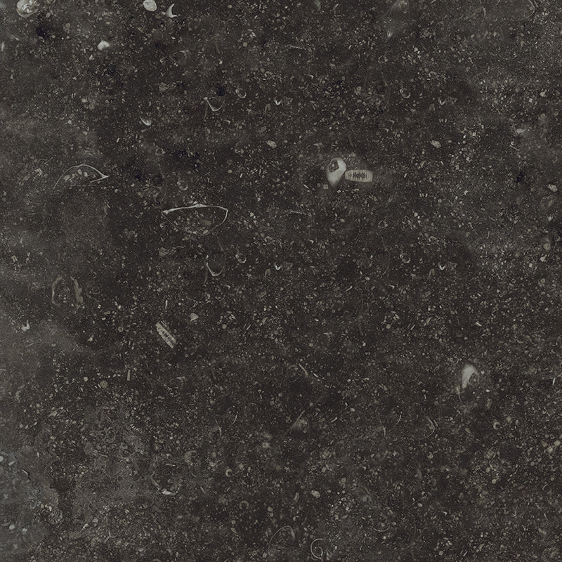 Concert Black 40 x 40cm, Victorian style tile at Irwin Tiles