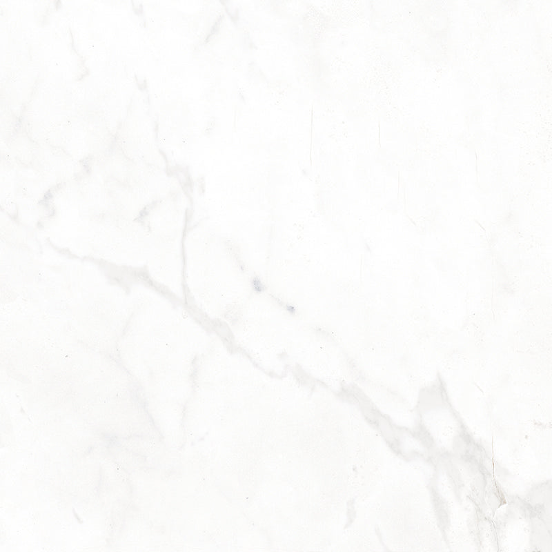 Concert White 40 x 40cm, porcelain tile at Irwin Tiles