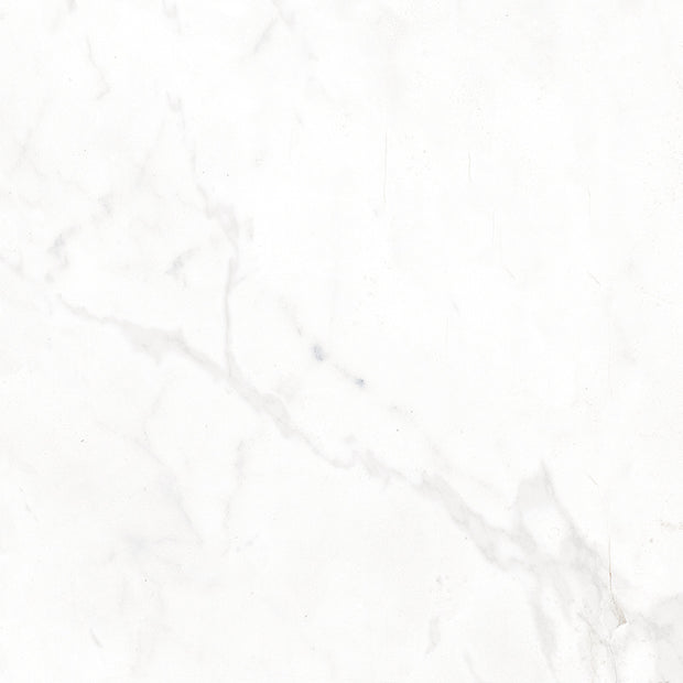 Concert White 40 x 40cm, porcelain tile at Irwin Tiles
