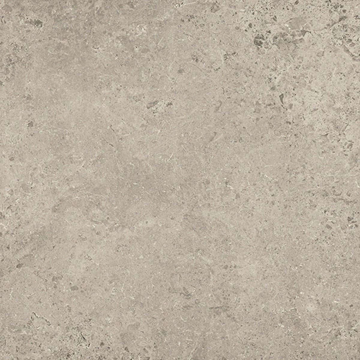 Concreta Ecru 100 x 100cm tile, beige matt, at Irwin Tiles