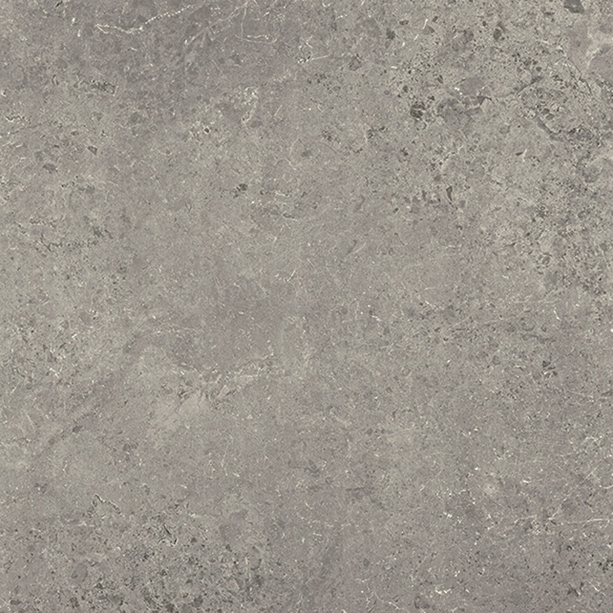 Concreta Titanio 100 x 100cm, extra large format tile at Irwin Tiles