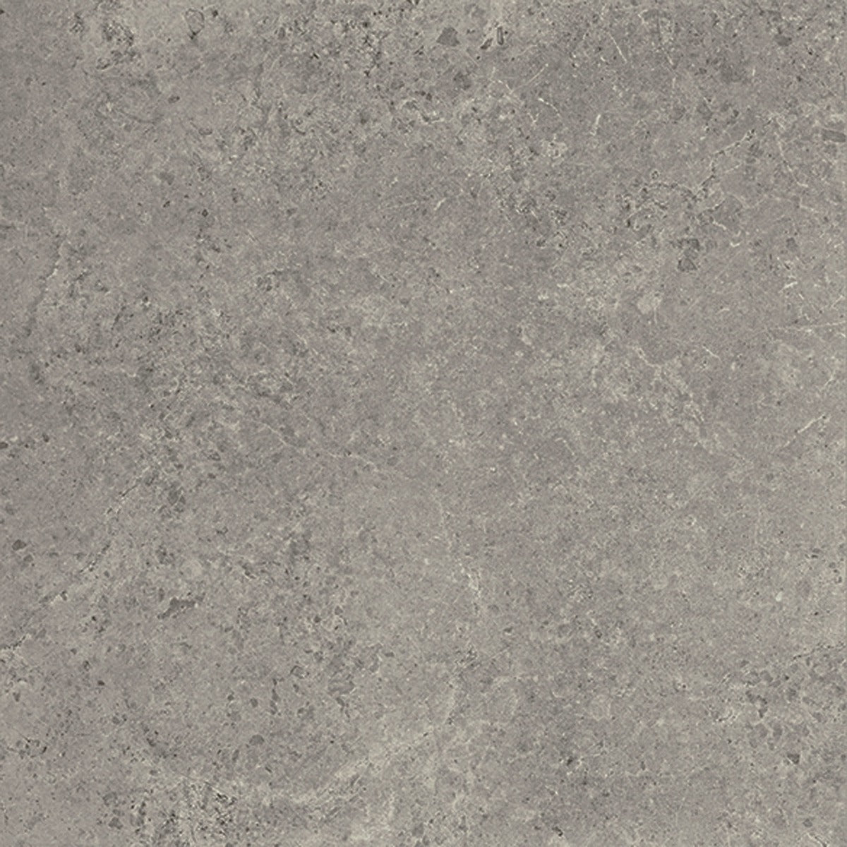 Concreta Titanio 100 x 100cm tile, grey matt, at Irwin Tiles