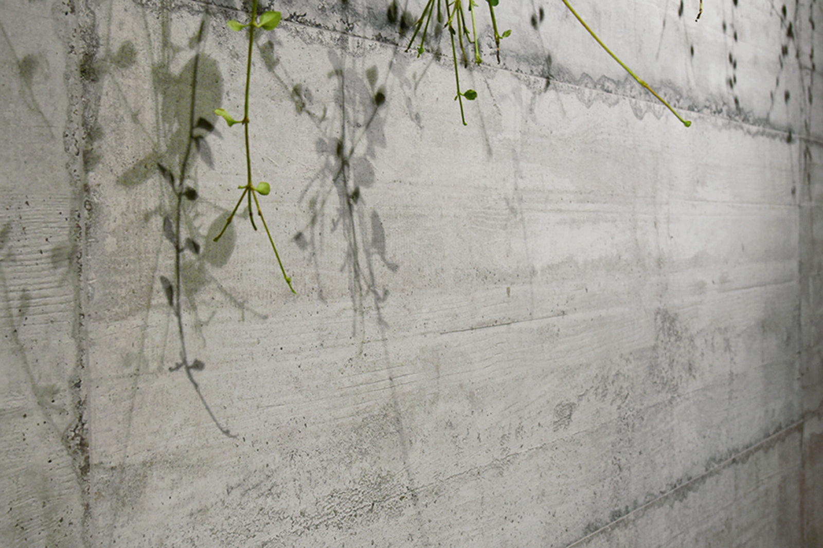 Form Cement 60 x 180cm, porcelain tile at Irwin Tiles