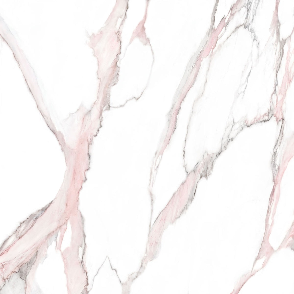 Fantasy Pink 60 x 120cm, gloss tile at Irwin Tiles