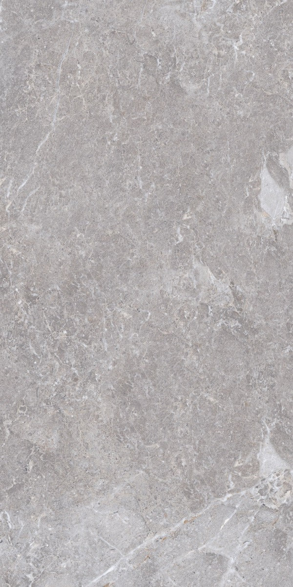 Golden Age Grey 60 x 120cm, porcelain tile at Irwin Tiles