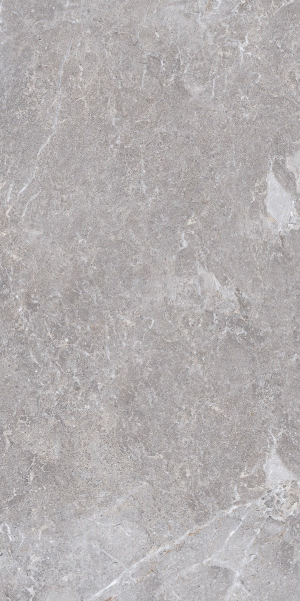 Golden Age Grey 60 x 120cm tile, matt, at Irwin Tiles