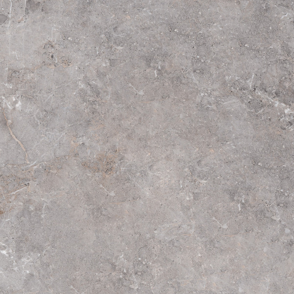 Golden Age Grey 80 x 80cm, tile at Irwin Tiles