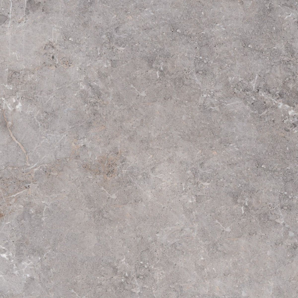 Golden Age Grey 80 x 80cm, tile from Irwin Tiles, Co. Monaghan