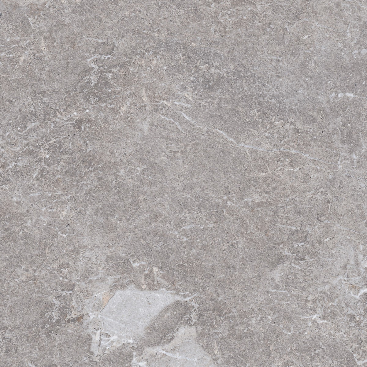 Golden Age Grey 80 x 80cm, matt porcelain tile for bathroom and other wet floors at Irwin Tiles, view 11