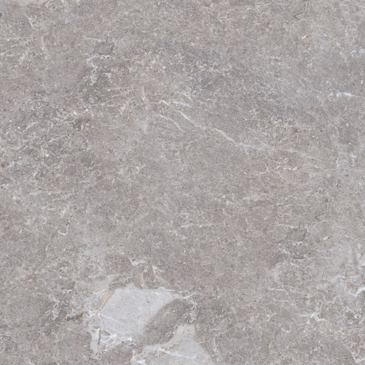 Golden Age Grey 80 x 80cm, porcelain tile at Irwin Tiles, view 10
