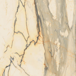Marmoteca Antique Brown Luxr 60x120cm, gloss tile at Irwin Tiles