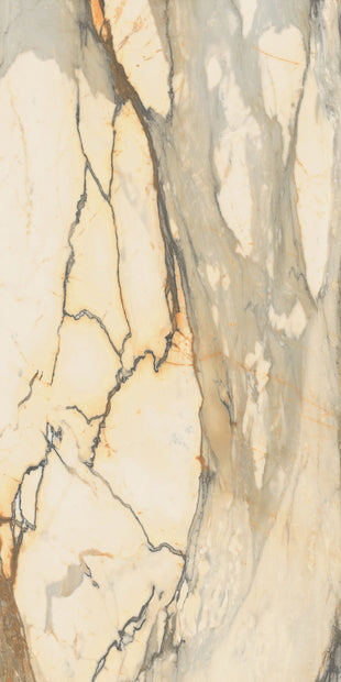 Marmoteca Antique Brown Luxr 60x120cm, gloss tile at Irwin Tiles