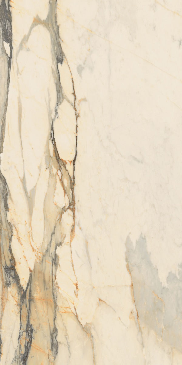 Marmoteca Antique Brown Luxr 60x120cm, porcelain tile at Irwin Tiles