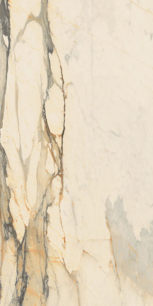 Marmoteca Antique Brown Luxr 60x120cm, porcelain tile at Irwin Tiles