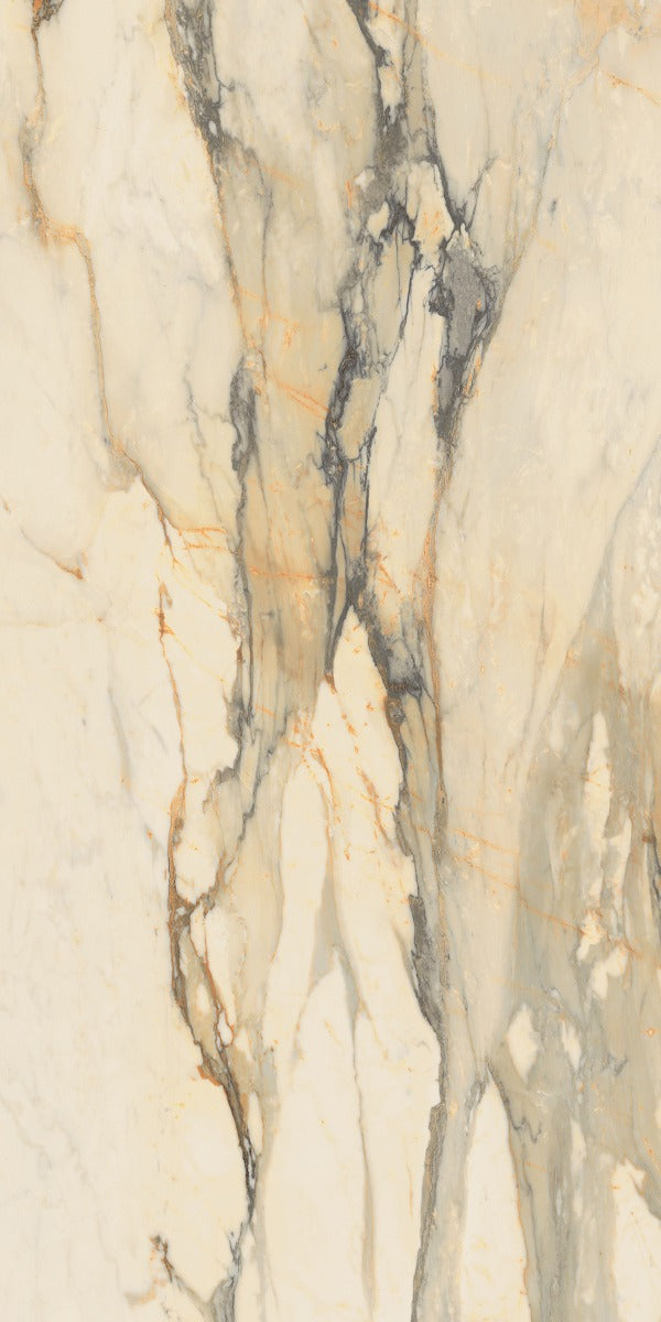 Marmoteca Antique Brown Luxr 60x120cm tile, gloss, at Irwin Tiles