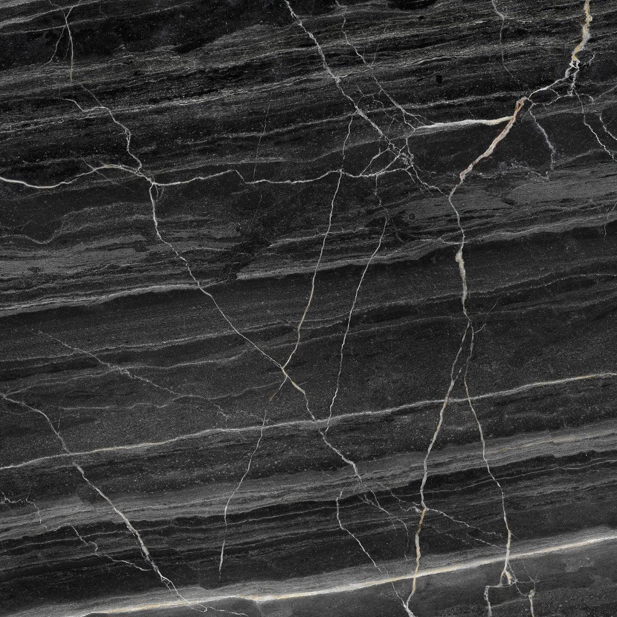Olsom Polished (Black marble look) 100 x 100cm, gloss tile at Irwin Tiles