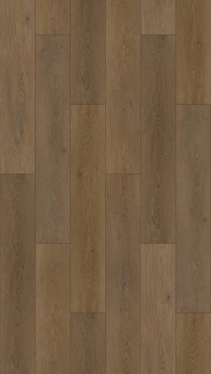 Panorama Laminate 12mm, laminate flooring at Irwin Tiles
