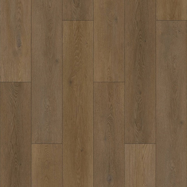 Panorama Laminate 12mm, laminate flooring at Irwin Tiles