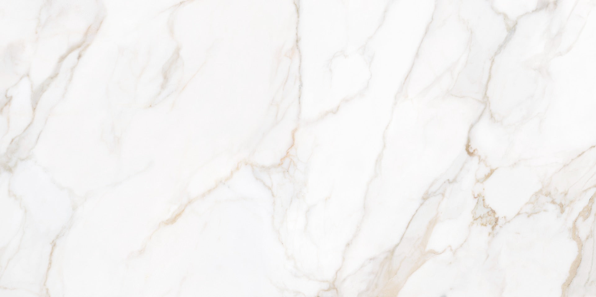 Paonazzo Gold 60x120cm, matt tile at Irwin Tiles