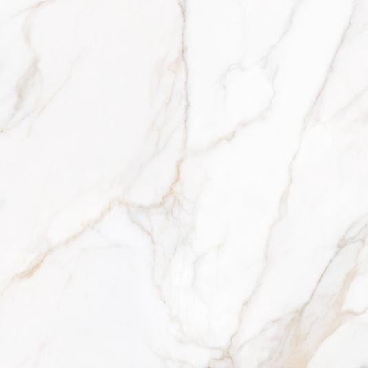 Paonazzo Gold Polished 60x120cm, porcelain tile at Irwin Tiles