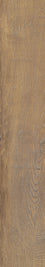 Patin Brown 20 x 120cm, matt tile at Irwin Tiles