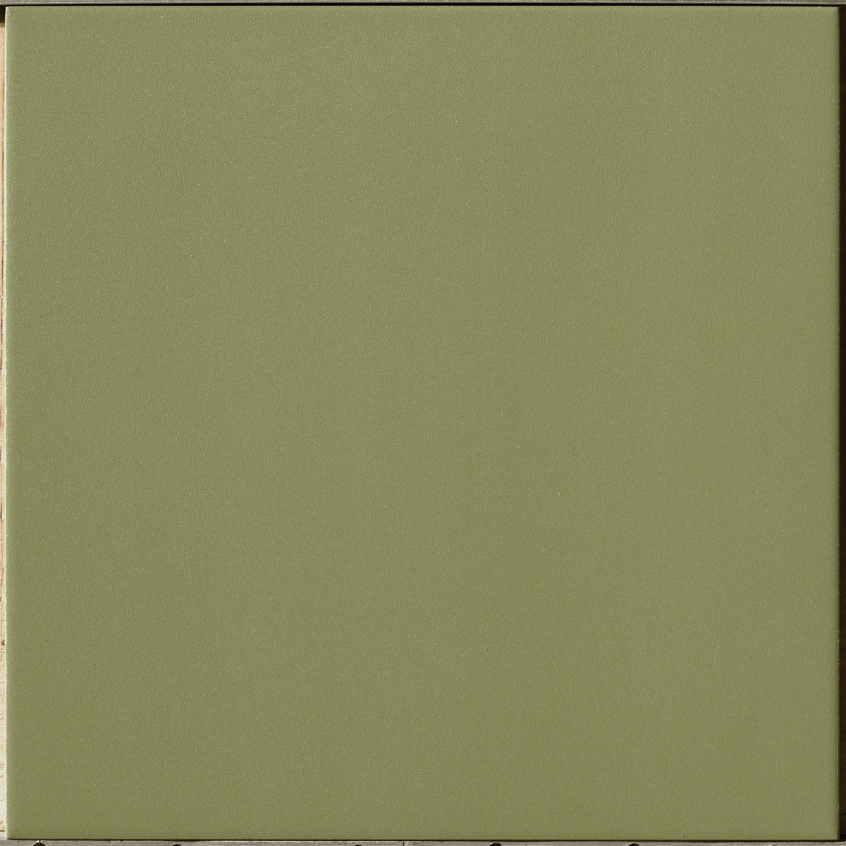 Salavia Evolution 10x10cm, green matt tile at Irwin Tiles
