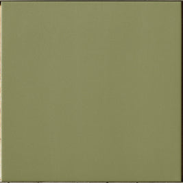 Salavia Evolution 10x10cm, green matt tile at Irwin Tiles